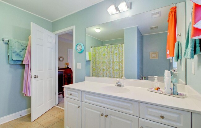 Master Bedroom Bath - 4218 Climbing Tree Ct