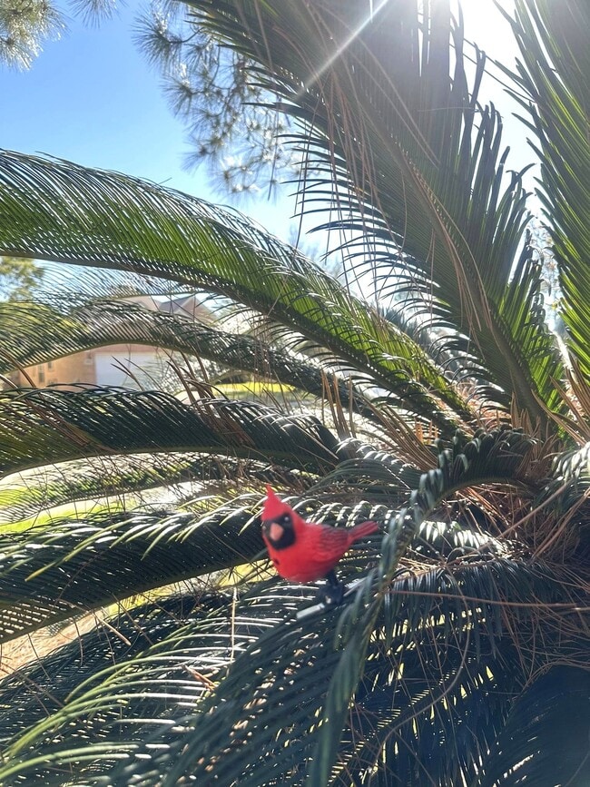 Building Photo - 3118 Flatwood Ct