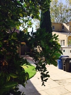 Building Photo - 905 S Curson Ave