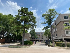 Building Photo - 2207 S Braeswood Blvd