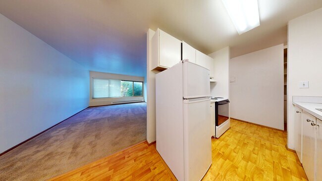 Interior Photo - Coho