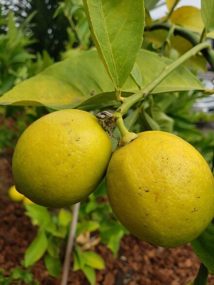 Building Photo - 5421 Market St