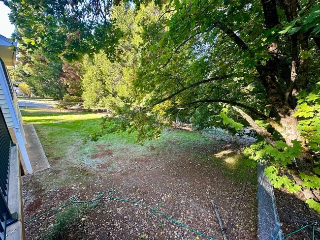 Building Photo - Light Filled 4 Bedroom 2.5 Bathroom Two-St...