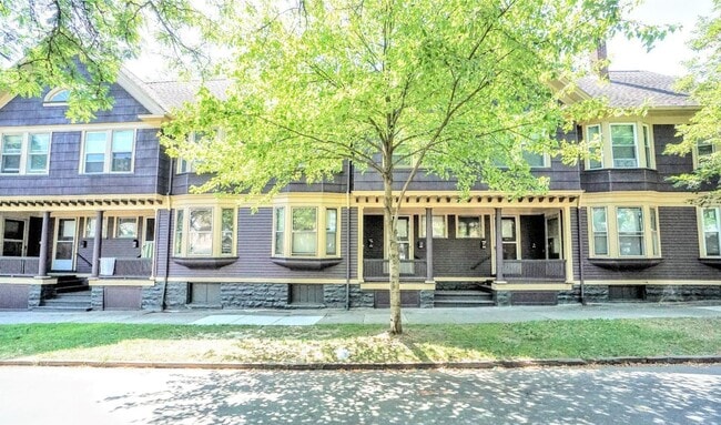 Primary Photo - 291 Pearl St | Apt A | 1 BD/1 BA | Great L...