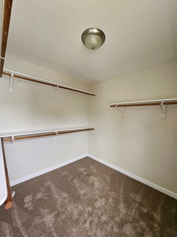 Building Photo - 61 Lawe St