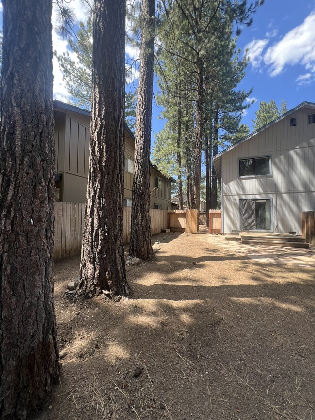 Building Photo - 3364 Treehaven Dr