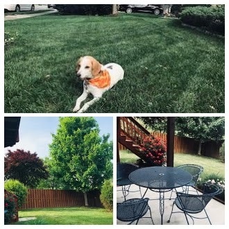 Front yard, backyard, and patio. - 6097 Deer Ridge Trl