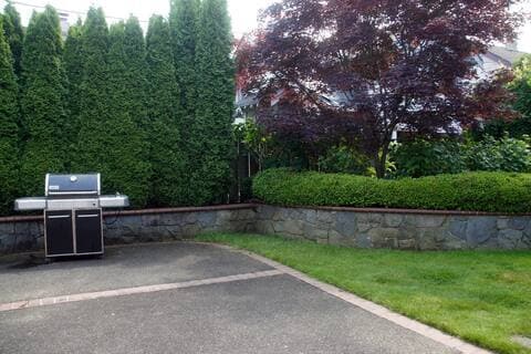 Backyard - 2904 NE Schuyler St