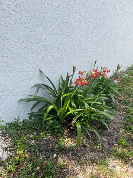 Building Photo - 734 47th St