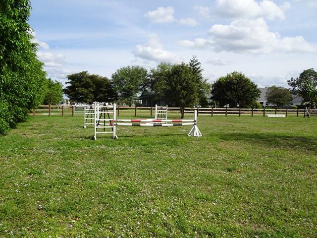 Building Photo - 819 Cindy Cir Ln
