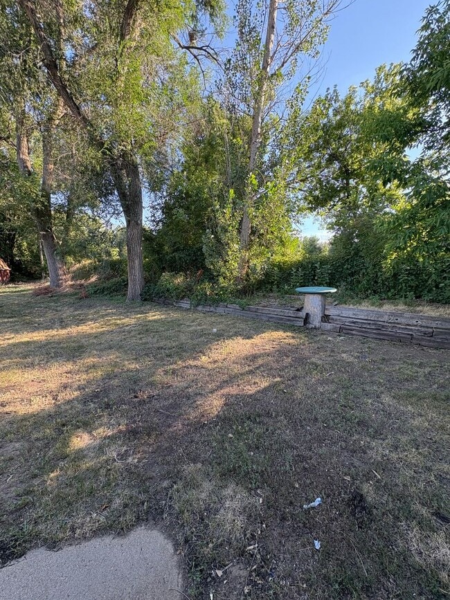 Building Photo - Newly Renovated 1 Bed 1 Bath Home