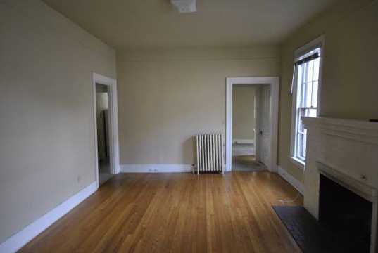 light filled hardwood floors Kerrytown apartment - 521 Elizabeth Street