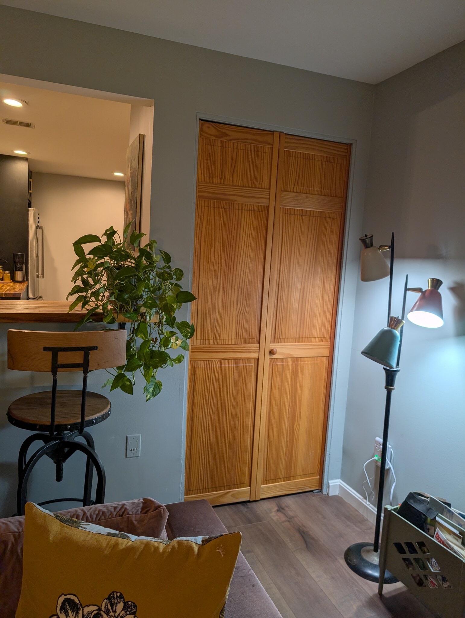 Deep closet in LR - 12709 Gordon Blvd