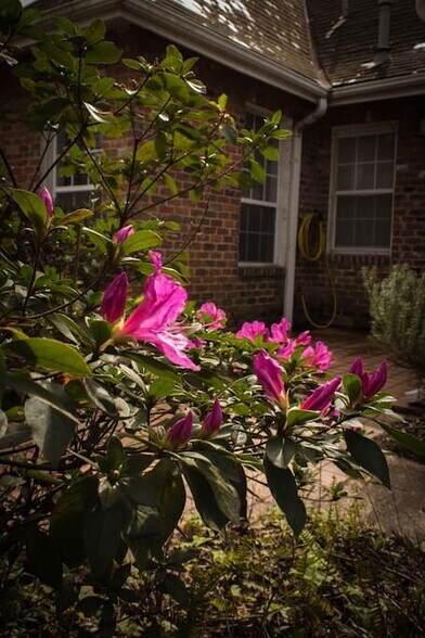 Building Photo - 4615 Dart St