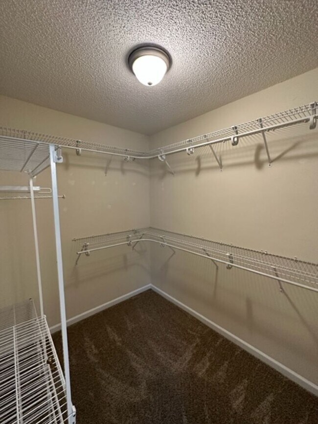 Building Photo - Stunning 3 Bed 2.5 Bath Home with Large Bo...