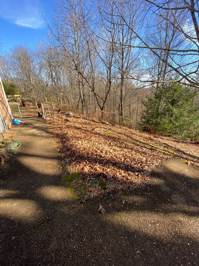 Building Photo - 2 Bed 2 Bath Home in Whites Creek. 20 minu...