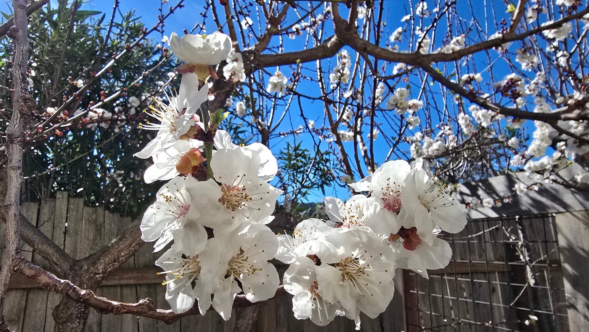 Building Photo - 5913 Amend Rd