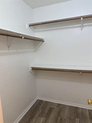 Building Photo - 4421 Tall Meadow Ln