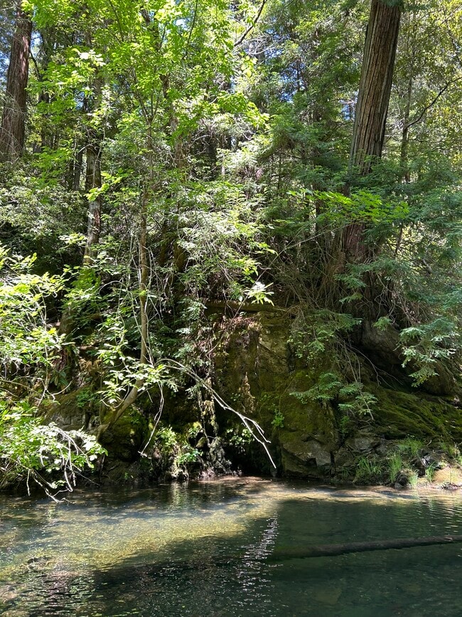 Building Photo - 41500 Wilderness Lodge Rd