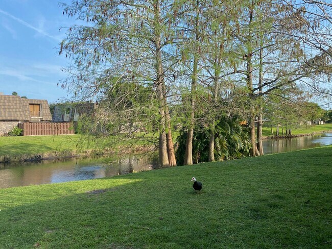Building Photo - 1705 Forest Lakes Cir