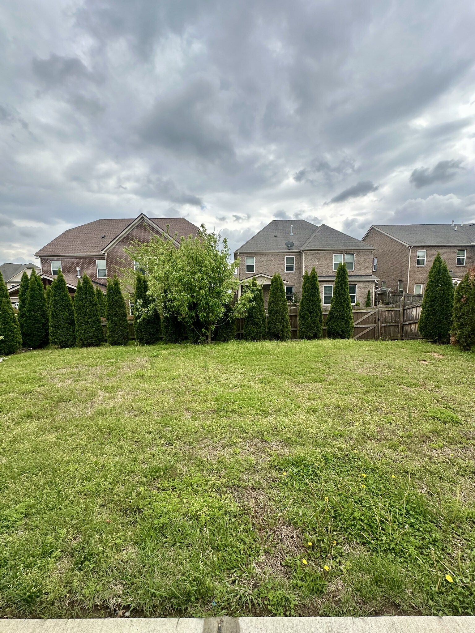 Building Photo - 4714 Venito St