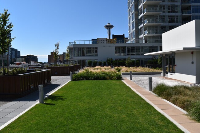 Building Photo - Spacious Luxury One Bedroom - Insignia