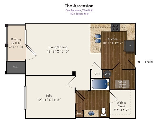 Ascension - Meridian On Shelbyville