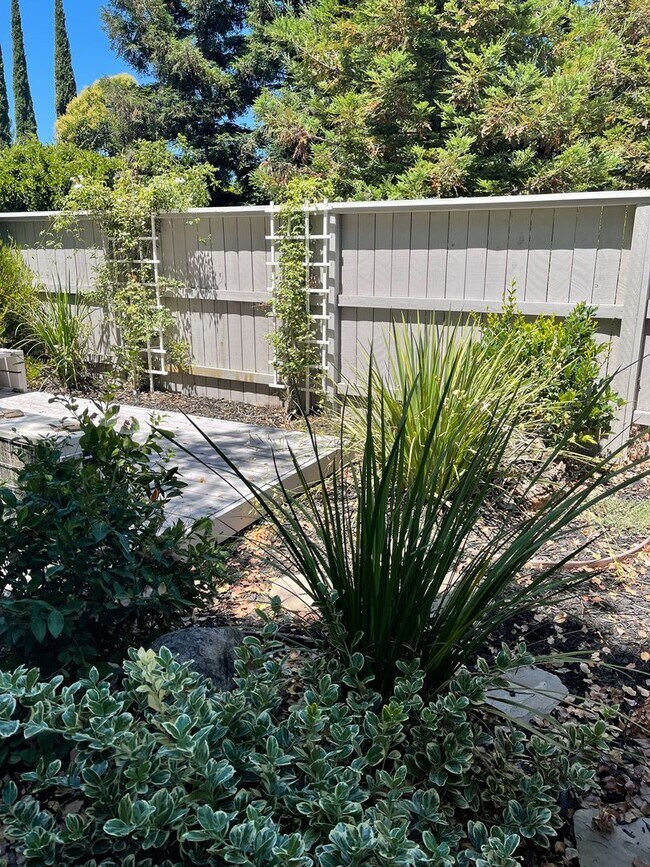 Building Photo - Beautiful single family home in peaceful Granite Bay, huge yard and upgrades!!