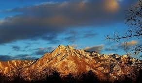 Building Photo - 1225 Wolf Hollow Ln