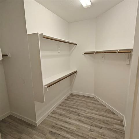 Building Photo - 1308 Creekbank Dr