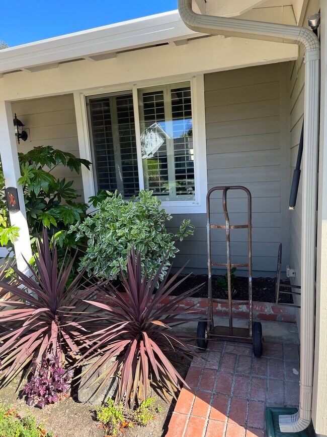 Building Photo - 4848 Pipit Ct