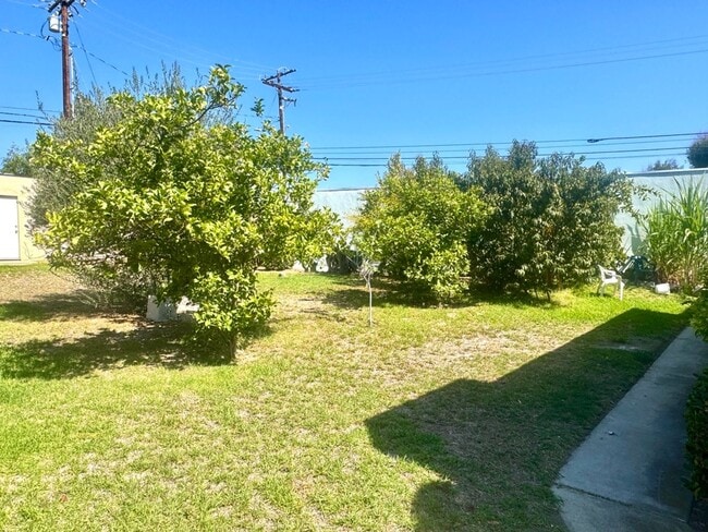 Building Photo - 2589 Hayes Dr