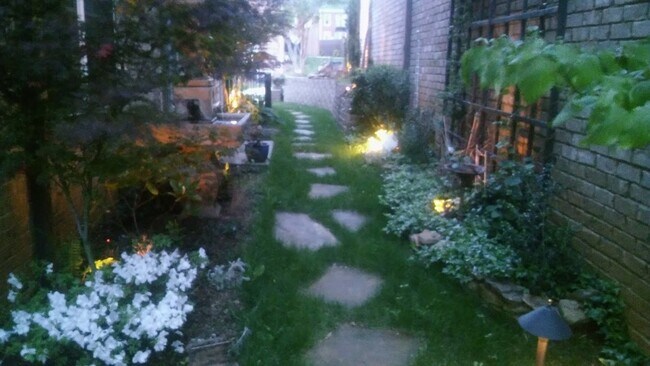 courtyard - 511 Wilcox St