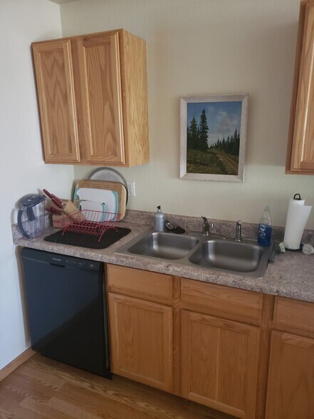 Stainless sink and dishwasher - 1221 University Ave