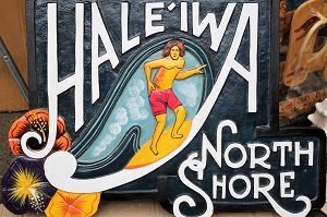 Building Photo - 55-116-116 Naupaka St