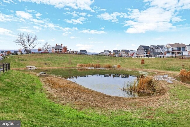 Building Photo - 1006 Shenandoah View Pkwy