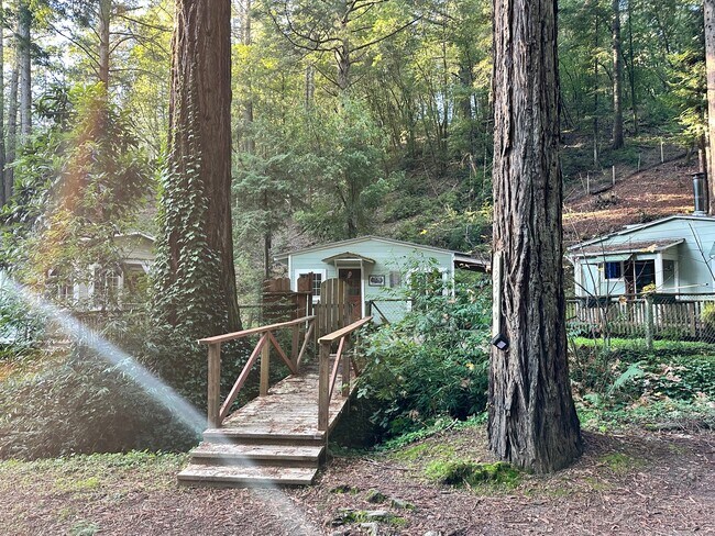 Building Photo - 12540 Mays Canyon Rd