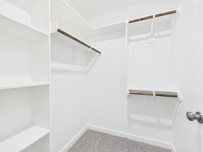 Building Photo - 1906 Viva Rd