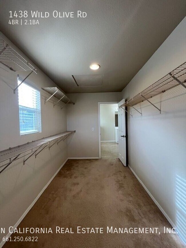 Building Photo - 1438 Wild Olive Rd