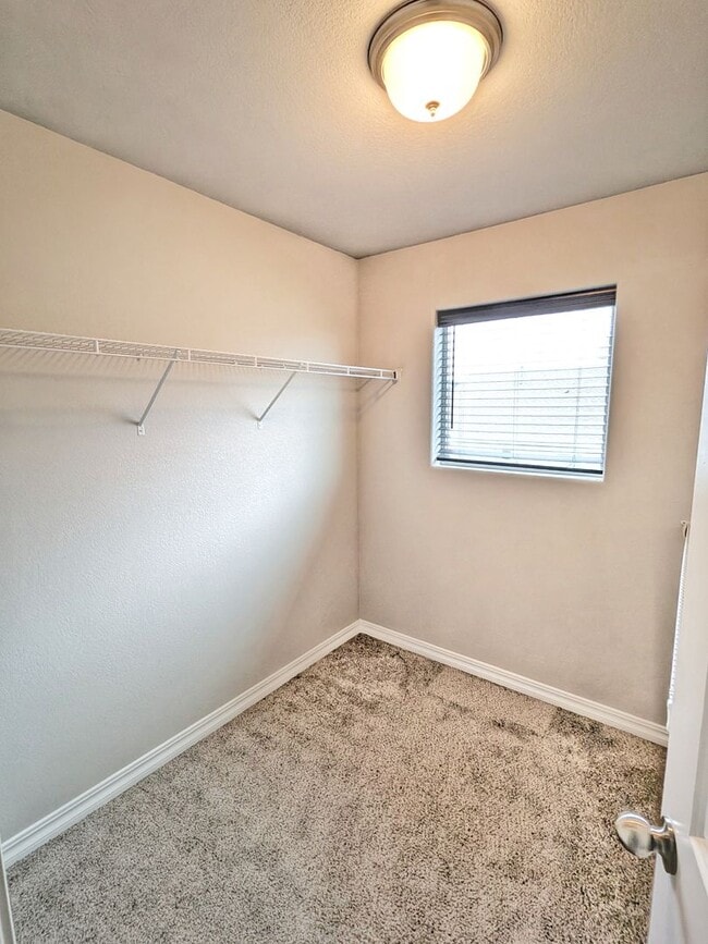 Building Photo - 7519 Mount Elbert Pt