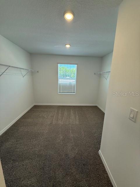 Building Photo - 2339 White Tail St