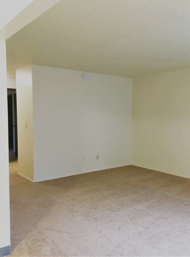 1 BEDROOM: LIVING ROOM - Cameron Park Apartments