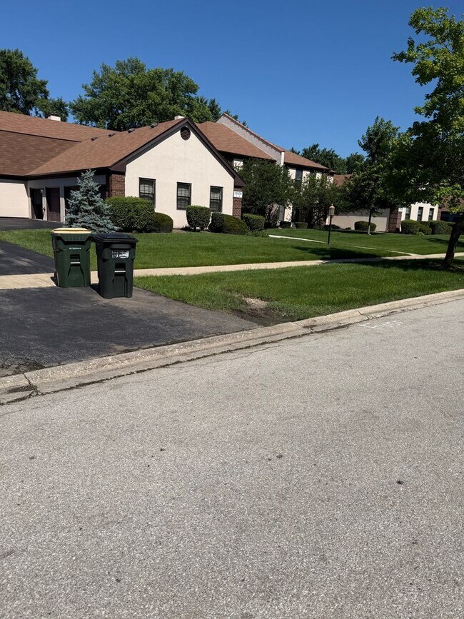 Building Photo - Recently Renovated 2 Bed 1 Bath in Naperville, Ready Now!