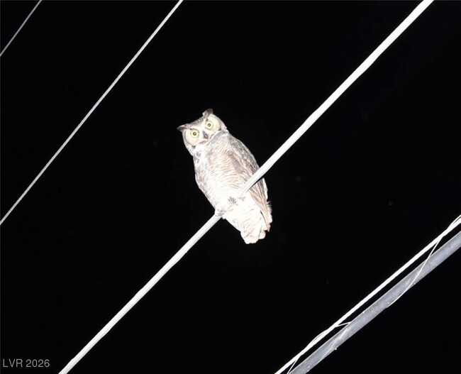 Building Photo - 481 Benedict Dr