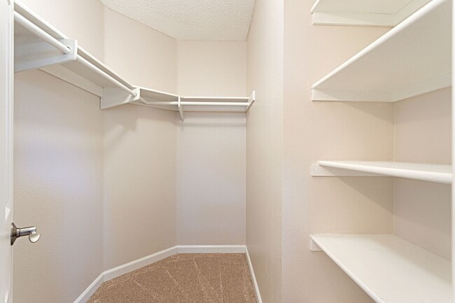 Building Photo - Beautiful 2 bed 2 bath in Carlsbad!