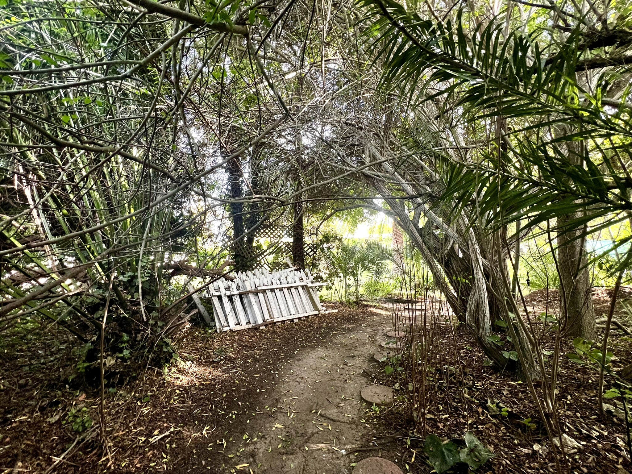 Hidden Pathway - 7855 Calle Juela