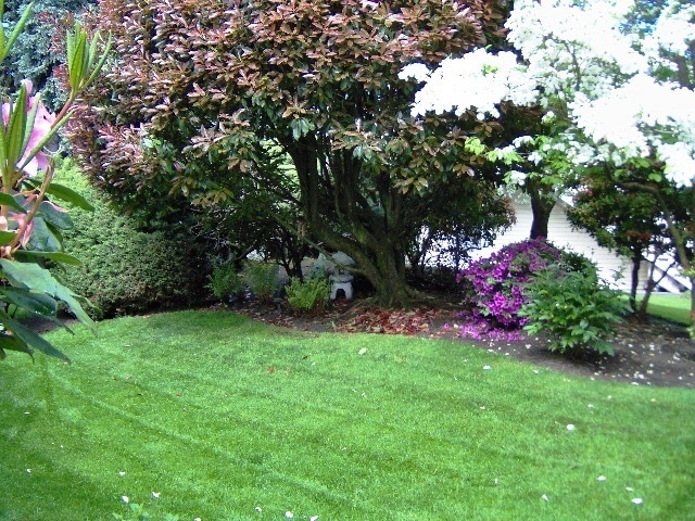 Building Photo - Charming Townhouse Near the Water! Water Sewer and Garbage Included!