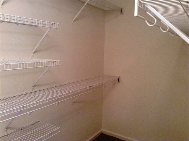 Building Photo - 507 Walkingstick Way