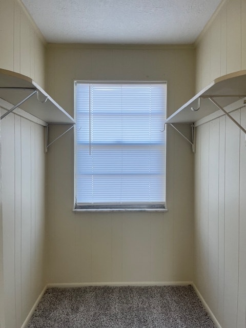 Building Photo - 1539 Faith Ct