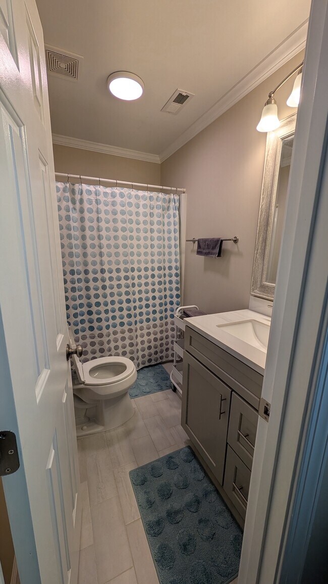 Building Photo - 3523 Ivy Commons Dr